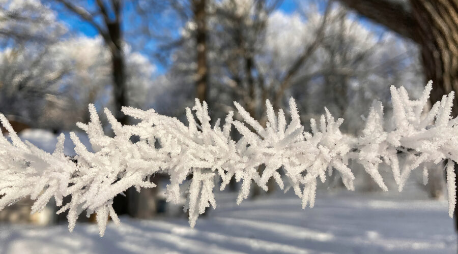 Hoar frost coats a fence line creating a beautiful image. This photo was captured with my iPhone SE. Amazing!
