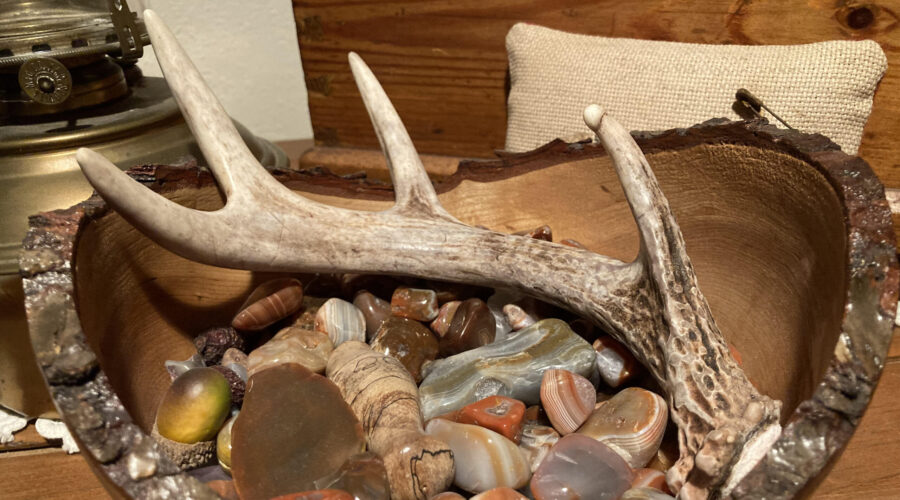 deer antler shed gifted to me by a close friend. I'm elated!